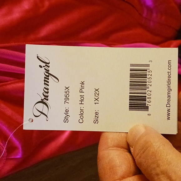 DREAMGIRL GARTER BELT BABYDOLL NWT, 1X/2X,PINK, W/PANTIES, VALENTINES DAY - Picture 5 of 7